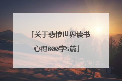 关于悲惨世界读书心得800字5篇
