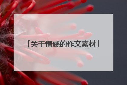 关于情感的作文素材