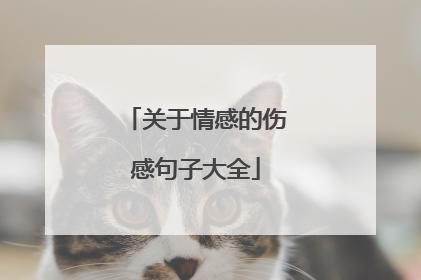 关于情感的伤感句子大全