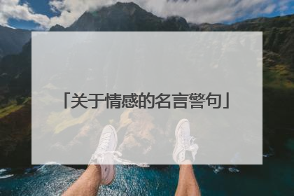 关于情感的名言警句