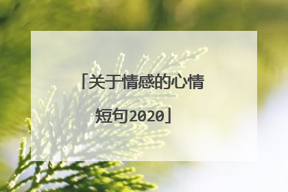 关于情感的心情短句2020