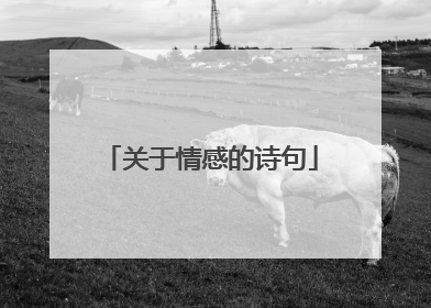 关于情感的诗句