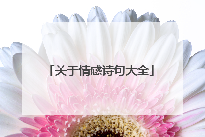 关于情感诗句大全