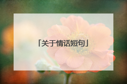关于情话短句