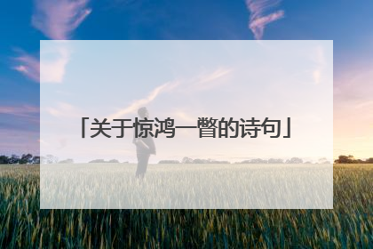 关于惊鸿一瞥的诗句