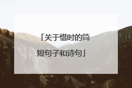 关于惜时的简短句子和诗句