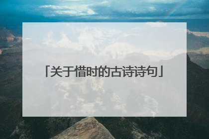 关于惜时的古诗诗句