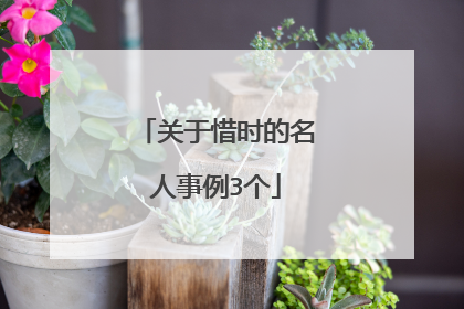 关于惜时的名人事例3个