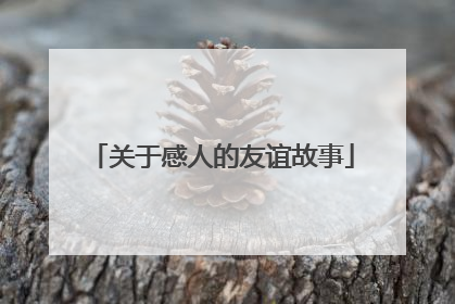 关于感人的友谊故事