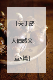 关于感人情感文章5篇
