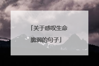 关于感叹生命脆弱的句子