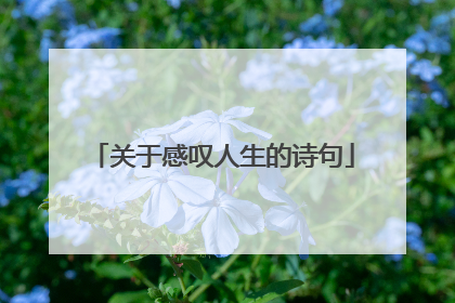 关于感叹人生的诗句