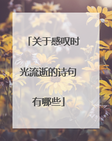 关于感叹时光流逝的诗句有哪些