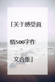 关于感受真情500字作文合集