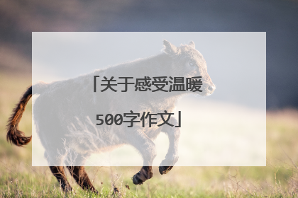 关于感受温暖500字作文