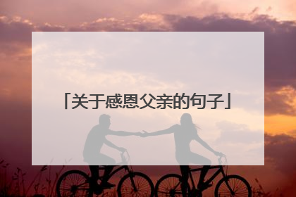 关于感恩父亲的句子