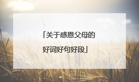 关于感恩父母的好词好句好段