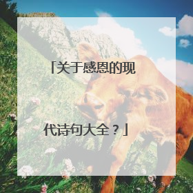 关于感恩的现代诗句大全?
