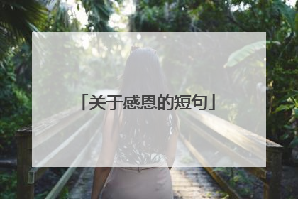 关于感恩的短句