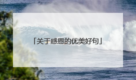 关于感恩的优美好句