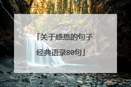 关于感恩的句子经典语录80句