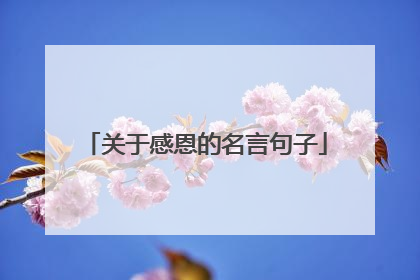 关于感恩的名言句子