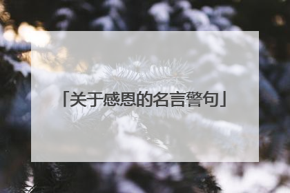 关于感恩的名言警句