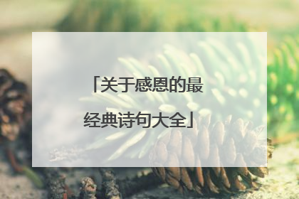 关于感恩的最经典诗句大全