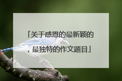 关于感恩的最新颖的，最独特的作文题目