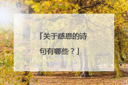 关于感恩的诗句有哪些?