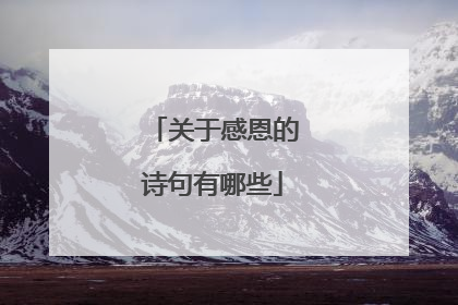 关于感恩的诗句有哪些