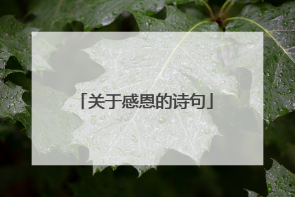 关于感恩的诗句