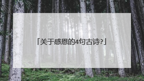 关于感恩的4句古诗?