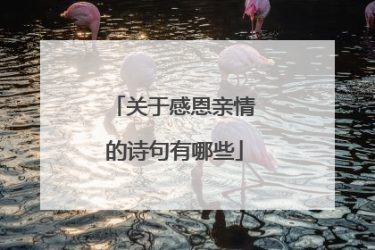 关于感恩亲情的诗句有哪些