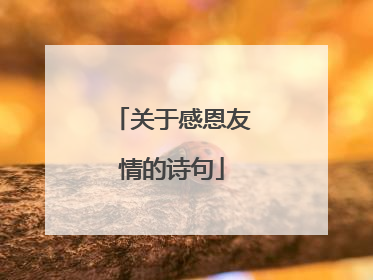 关于感恩友情的诗句