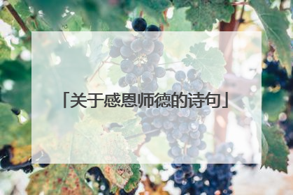 关于感恩师德的诗句