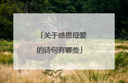 关于感恩母爱的诗句有哪些