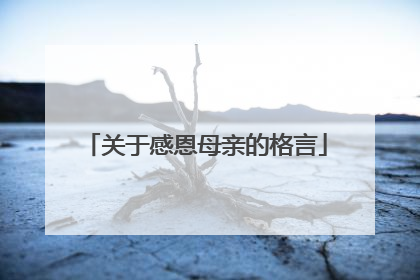 关于感恩母亲的格言