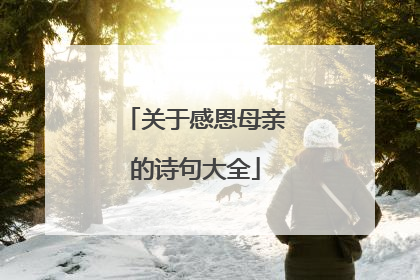 关于感恩母亲的诗句大全