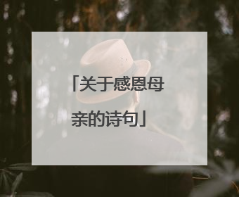 关于感恩母亲的诗句