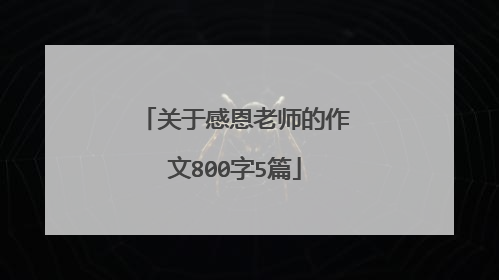 关于感恩老师的作文800字5篇