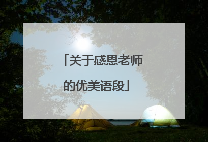 关于感恩老师的优美语段