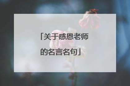 关于感恩老师的名言名句