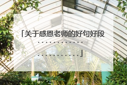 关于感恩老师的好句好段.......................