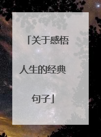 关于感悟人生的经典句子