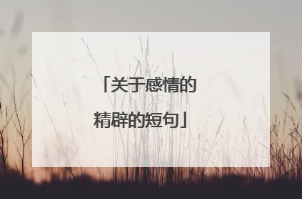 关于感情的精辟的短句