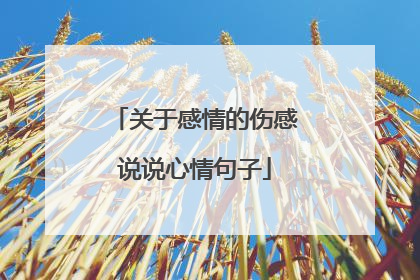 关于感情的伤感说说心情句子