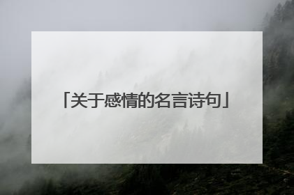 关于感情的名言诗句