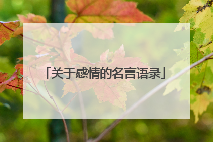 关于感情的名言语录