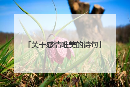 关于感情唯美的诗句